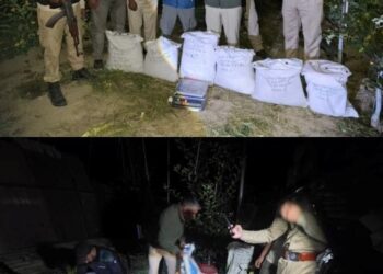 Shopian Police Bust Underground Drug Hideout, Recover Nearly 29 Kg Cannabis Powder