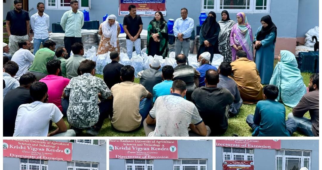 SKUAST-K, KVK B’gam organize Input distribution Prog under ICAR-TSP