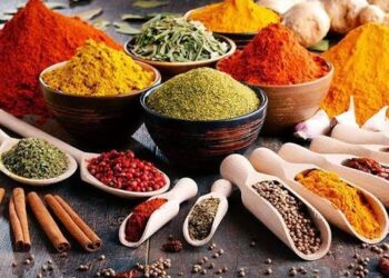 SKUAST-K Gives Budgam Spice Growers a Scientific Farming Boost