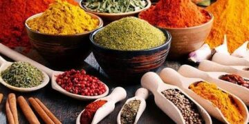 SKUAST-K Gives Budgam Spice Growers a Scientific Farming Boost