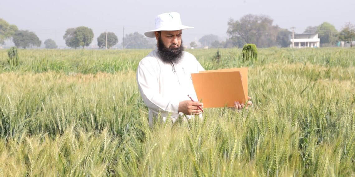 SKUAST-K scientist bags Norman Borlaug Award