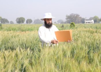 SKUAST-K scientist bags Norman Borlaug Award 