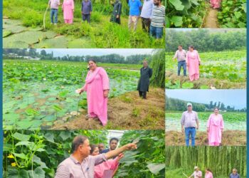 Director Extension SKUAST-K visits KVK Bandipora-1, reviews Research & Extension activities