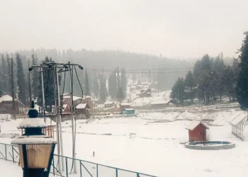 snow 2