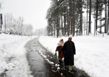 Fresh snowfall in south Kashmir’s Shopian district on Sunday