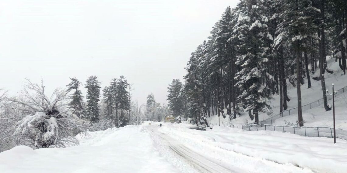 Fresh snowfall in south Kashmir’s Shopian district on Sunday