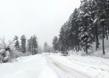 Fresh snowfall in south Kashmir’s Shopian district on Sunday