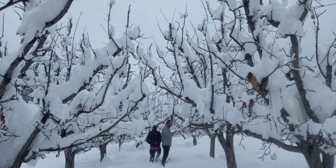 Fresh snowfall in south Kashmir’s Shopian district on Sunday