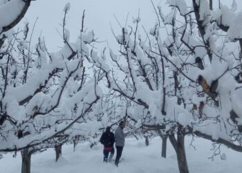 Fresh snowfall in south Kashmir’s Shopian district on Sunday