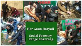 Social Forestry Range Kokernag organises Special plantation drive
