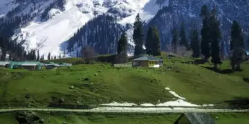 Sonamarg Development Authority Orders Immediate Removal of Illegal Parking from Green Areas, Ecologically Sensitive Zones