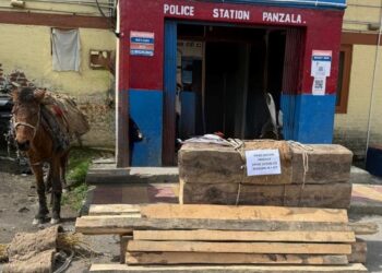 Police foil timber smuggling attempt in Sopore