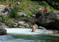 Srinagar Records Season’s Hottest Day At 35.9°C
