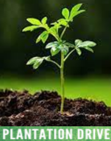 SWD Srinagar organises Planation Drive under Beti Bachao Beti Padhao