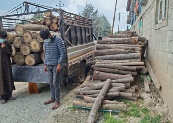 Timber Theft Case Solved in Pulwama, Two Arrested: Police