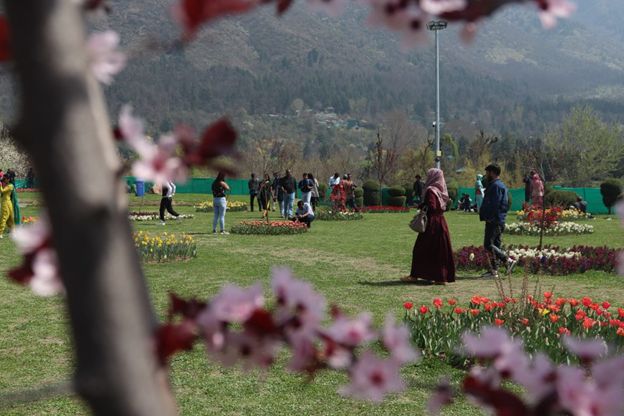 Spring Blossom Fest turns big hit among tourists, locals; hundreds throng Zawoora Garden