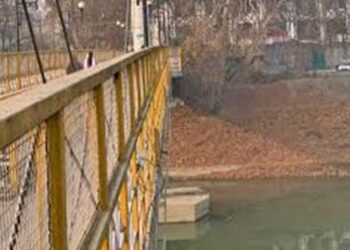 5-year-old girl thrown off Rajbagh bridge by aunt, succumbs 3 days later in hospital