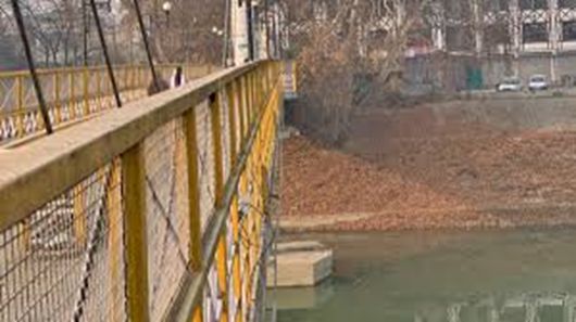 5-year-old girl thrown off Rajbagh bridge by aunt, succumbs 3 days later in hospital