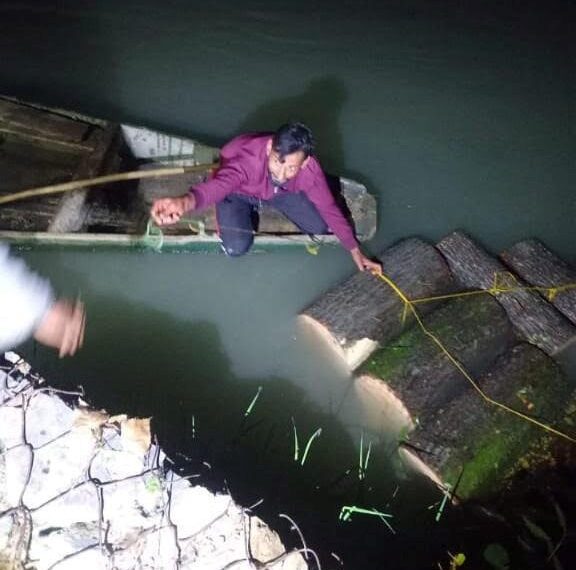 Illegal timber worth lakhs seized; smuggling bid foiled in Ganderbal