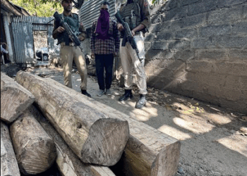 Timber Seized In Bandipora, Accused Arrested: Police