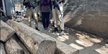 Timber Seized In Bandipora, Accused Arrested: Police