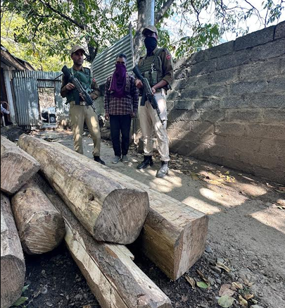 Timber Seized In Bandipora, Accused Arrested: Police