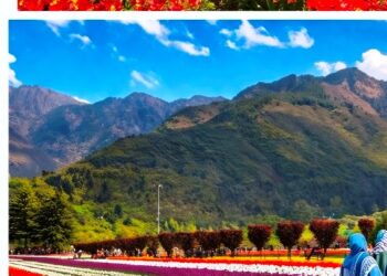 Directorate of Floriculture organize Therapeutic visit of patients to Tulip Garden