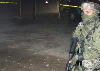 Top commander among 5 militants killed in twin encounters in Kulgam areas