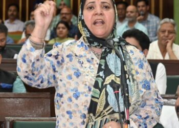 Two drainage projects undertaken to address water-logging in Sopore town: Govt