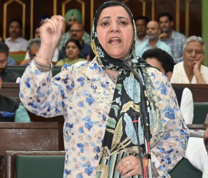 Two drainage projects undertaken to address water-logging in Sopore town: Govt