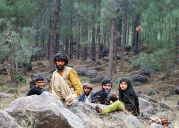 JK Govt making continuous efforts for upliftment of Tribal population