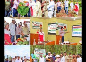VC SKUAST-K chairs 20th SAC meeting of KVK Bandipora