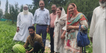 VC SKUAST-K leads outreach for modernising vegetable farming in Srinagar, Anantnag