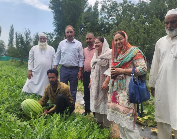 VC SKUAST-K leads outreach for modernising vegetable farming in Srinagar, Anantnag