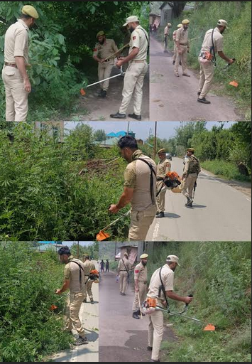 Wild Cannabis Spread Over One Kanal Destroyed in Baramulla Anti-Drug Drive: Police