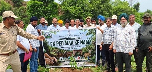 Wildlife Division Kathua organizes plantation drive at Jasrota