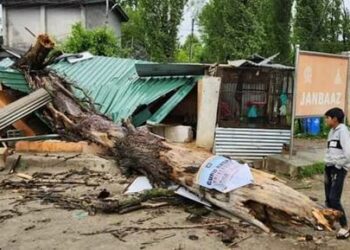 Hot, dry weather conditions end as J&K receives light rainfall