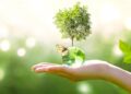 GDC Marh holds series of activities to mark World Environment Day