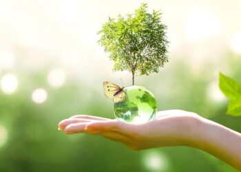 GDC Marh holds series of activities to mark World Environment Day
