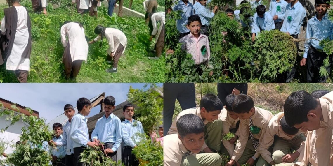 NashaMukt J&K Abhiyan: DYSS Bla engages thousands in Multi-Zonal Sports Revolution