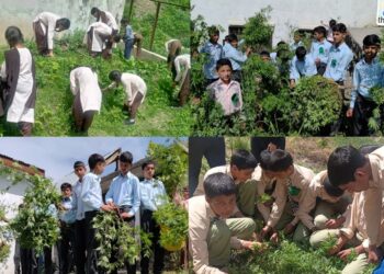 NashaMukt J&K Abhiyan: DYSS Bla engages thousands in Multi-Zonal Sports Revolution