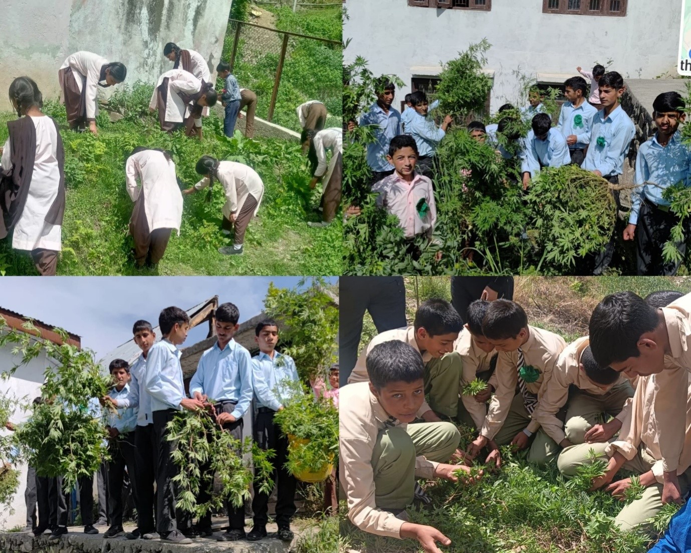 NashaMukt J&K Abhiyan: DYSS Bla engages thousands in Multi-Zonal Sports Revolution